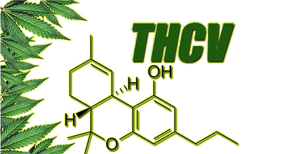 Benefits of THCv 